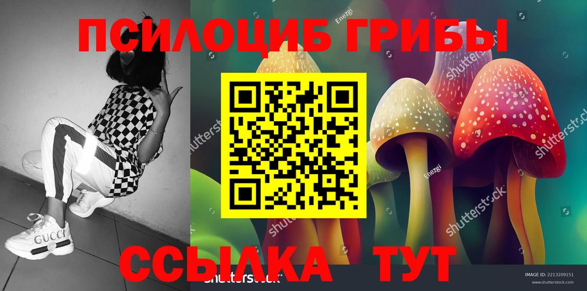 цены   Вход с VPN  Асино  Галлюциногенные грибы MAGIC MUSHROOMS 